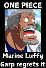 One Piece: Marine Luffy, Garp regrets it