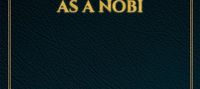reincarnation as a nobi